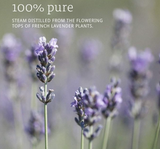 NOW Foods Essential Oils, 100% Pure Lavender Oil 30ml